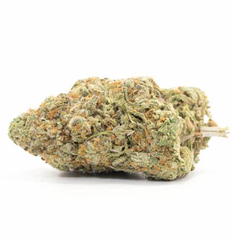 pineapple sativa